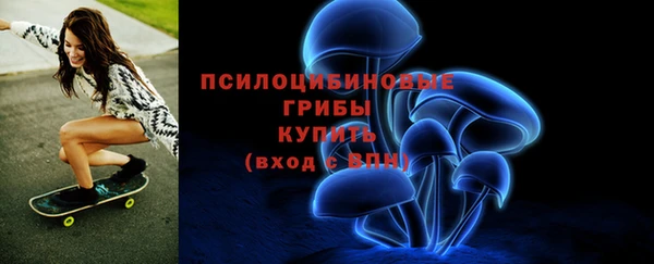 экстази Богородицк