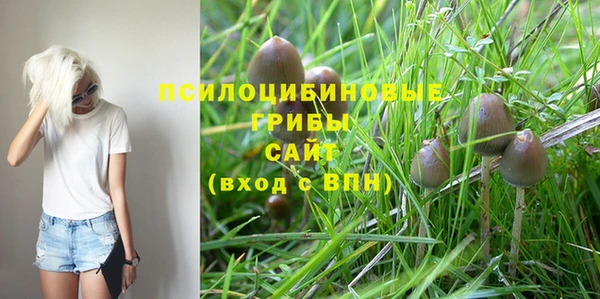 экстази Богородицк