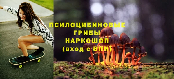 кокс Богородск