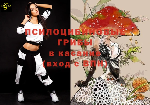 экстази Богородицк