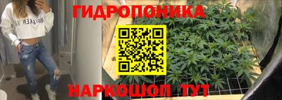 молекула духа Бузулук