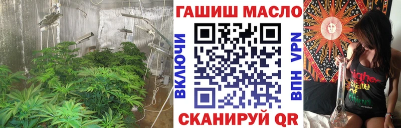 ТГК вейп  Выборг 