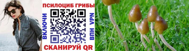 Галлюциногенные грибы Magic Shrooms  дарнет шоп  Выборг 