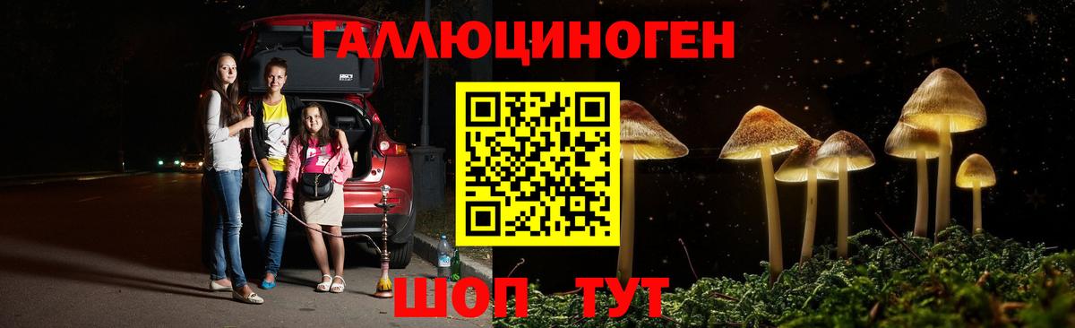 Псилоцибиновые грибы MAGIC MUSHROOMS  Вход с VPN  купить  цена  Выборг 